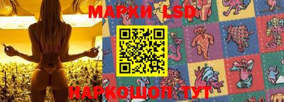 прущие крисы Краснознаменск