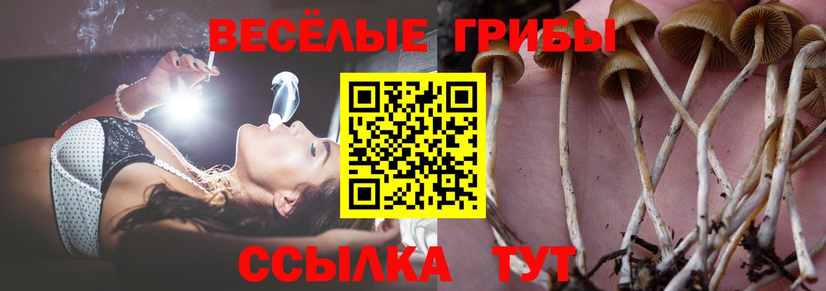 Галлюциногенные грибы мицелий  Вход с VPN  Галлюциногенные грибы ЛСД  хочу наркоту  Костомукша 